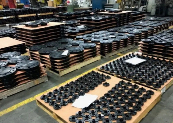 1/2-48 Flanche in acciaio di classe 900 per connessioni robuste e prestazioni affidabili