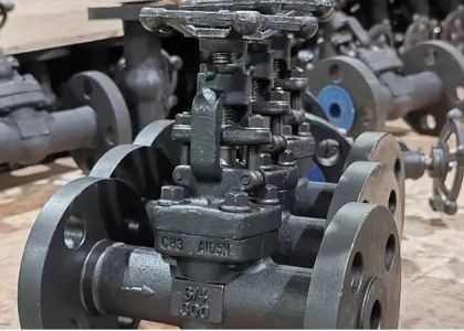 Valvola di porta in acciaio di classe 150-1500 lb con comando manuale del cofano avvitato