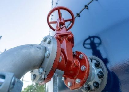 Valvola di porta in acciaio a temperatura con doppio cuneo con cappuccio avvolta
