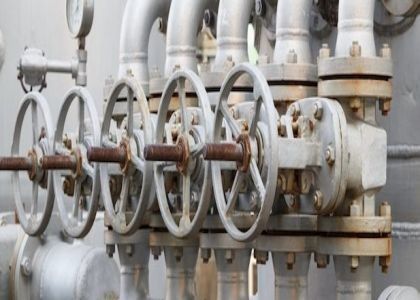 API ANSI JIS GOST DIN Valvola manuale di cancello in acciaio PT Single Wedge con cappuccio avvitato