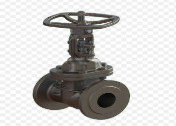 Valvole di porta in acciaio DN10-DN50 di piccole dimensioni per l'industria