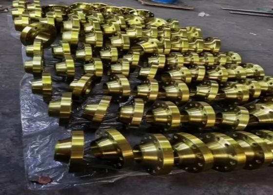 Classe 2500 Flanges in acciaio galvanizzato a caldo per progetti di costruzione