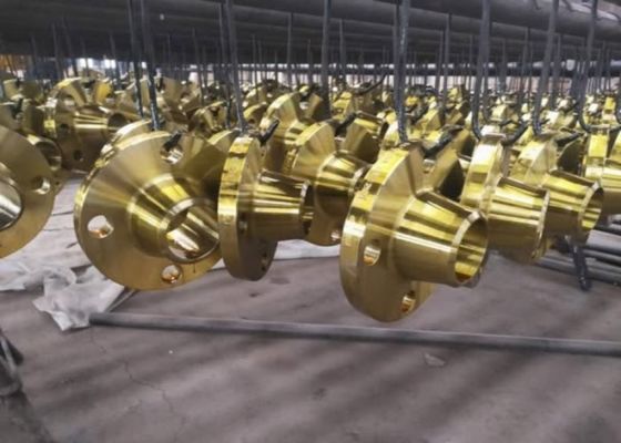 Flangelli di tubi in acciaio di saldatura a scivolo per le connessioni NBR/Viton