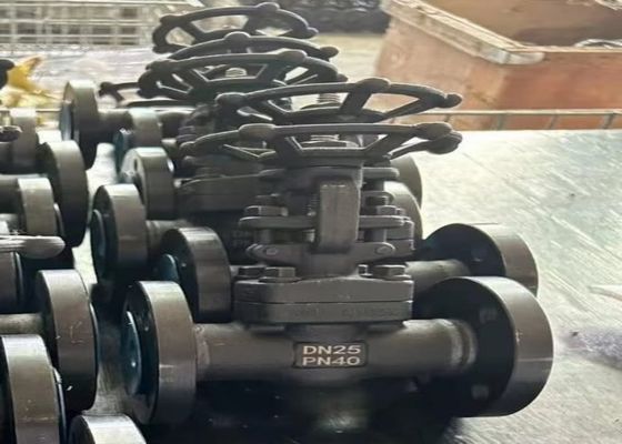 Valvole in acciaio da 1/2 pollice con carrozzeria a cappuccio avvolto e supporto personalizzato ODM