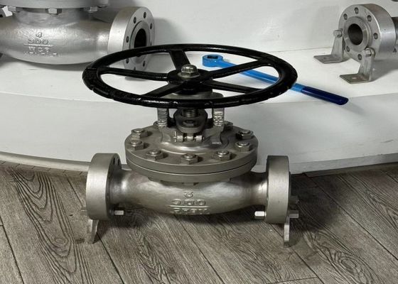 Valvole in acciaio DN10-DN50 con supporto personalizzato e funzionamento manuale