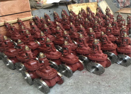 Ventilazione manuale Valvole in acciaio con cappuccio e doppio cuneo per prestazioni precise