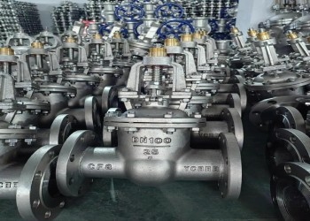 Valvola di porta manuale di classe 150-1500 lb di acciaio a cappuccio avvolta