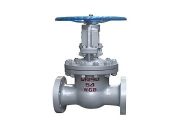 Valvola di porta manuale in acciaio DN10-DN50