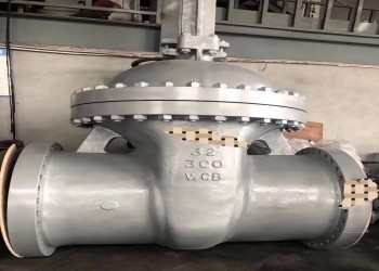 Valvole in acciaio a coperchio bullonato standard API DN10-DN50 con azionamento manuale