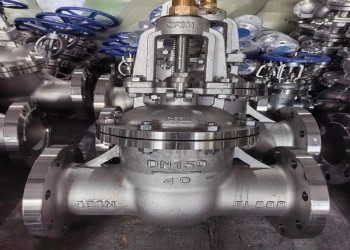 Valvola di porta manuale in acciaio DN10-DN50