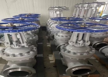 Valvola a saracinesca manuale a cuneo singolo DN10-DN50 API ANSI DIN