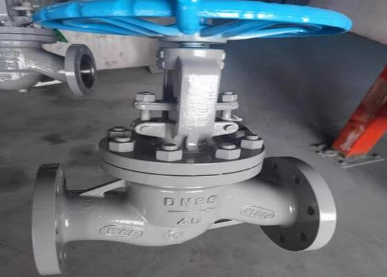 Valvole in acciaio DN10-DN50 con funzionamento manuale e cappuccio avvitato per un'installazione facile