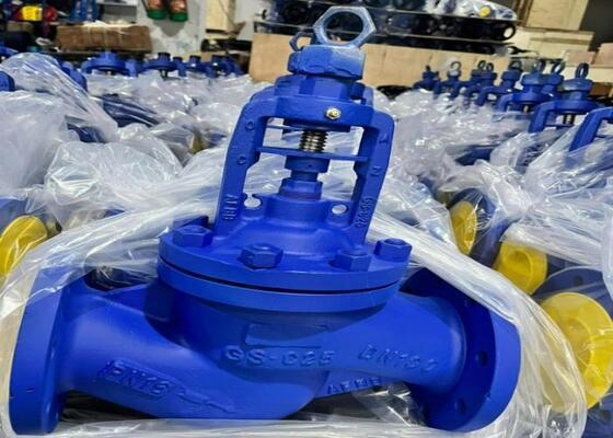 Valvola di porta manuale in acciaio con guarnizione a bullone DN10-DN50 150lb-1500lb Alta resistenza alla corrosione